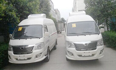 t5.jpg t5.jpg